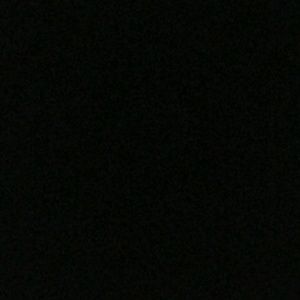 Meet your Posher, Monique